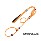 Reflecterende Nylon Hondenriem Glow-In-Dark Comfortabele Grip Duurzaam Veilig Voor Nachtelijke Wandelingen - Ruffy