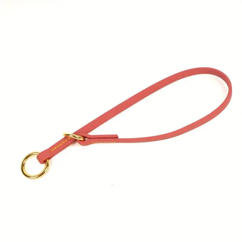 Hond Sliplijn Halsband Geurbestendig - Ruffy
