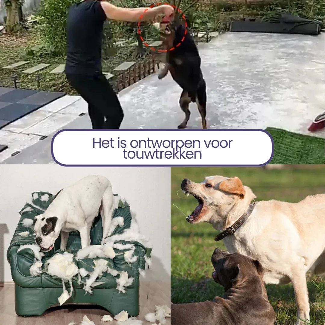 Duurzaam Kauwspeeltje en Touwtrekspeelgoed Verhoogt Mentale Stimulatie Verbetert Behendigheid Gemakkelijk Schoon Te Maken - Ruffy