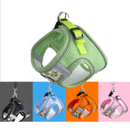 Ademend Nylon Mesh Kat en Puppy Harnas Verstelbaar Comfortabel Lichtgewicht Stijlvol Veilig Voor Dagelijkse Wandelingen - Ruffy