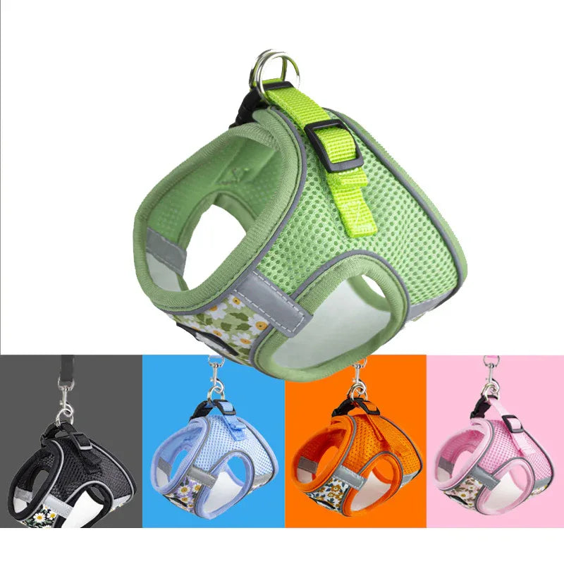Ademend Nylon Mesh Kat en Puppy Harnas Verstelbaar Comfortabel Lichtgewicht Stijlvol Veilig Voor Dagelijkse Wandelingen - Ruffy