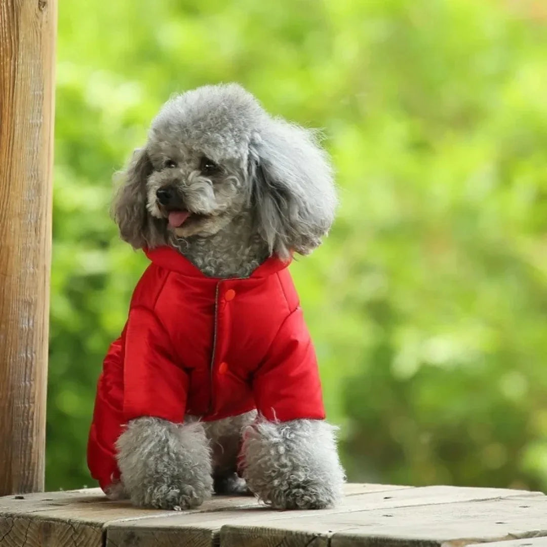 Kleine en Medium Hondenjas Winter Dons Machinewasbaar, Waterdicht - Ruffy