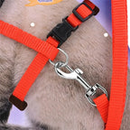 Duurzaam verstelbaar nylon kattentuig met bijpassende riem – veiligheid en comfort voor actieve katten - Ruffy