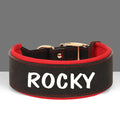 Brede Gepersonaliseerde Hondenhalsband - Ruffy