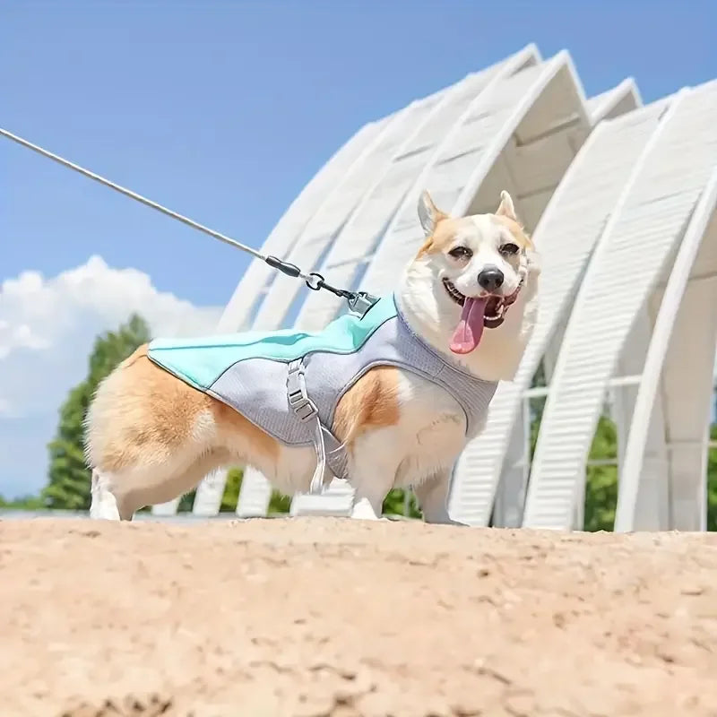 Koelvest voor Honden Met UV-Bescherming Lichtgewicht en Verstelbare Pasvorm - Ruffy