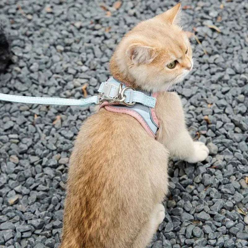 Reflecterend kattentuigje met trekvrij ontwerp en verstelbare pasvorm – comfortabele suède stof - Ruffy