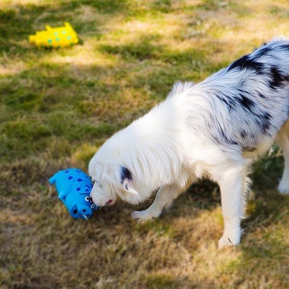Squeaky Leuk Varken Hondenspeelgoed - Ruffy