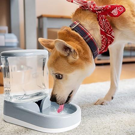 Automatische Voederset voor Honden 5L Met Zwaartekracht Waterdispenser en Voederbak - Ruffy