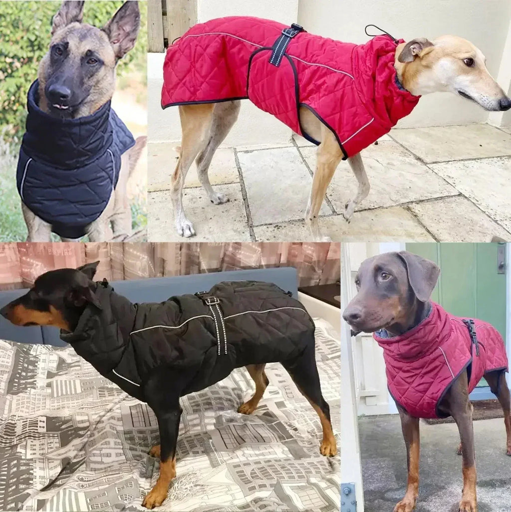 Waterdichte Hondenjas Geïsoleerd Warm Duurzaam Reflecterend Verstelbaar Voor Grote Rassen en Bar Weer - Ruffy