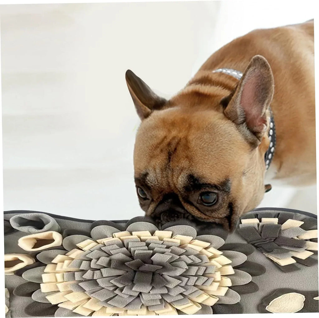 Interactieve Voeding Snuffelmat Voor Honden - Ruffy