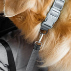 Hondenmand voor Auto Groot | Orthopedisch Kussen | Antislip & Veiligheidsgordelsysteem - Ruffy