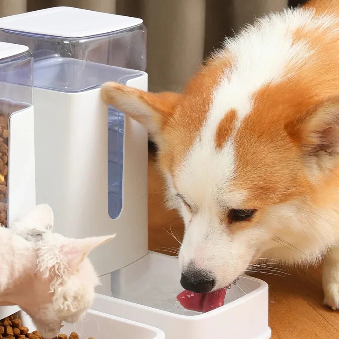 Automatische voer- en waterdispenser Voor Honden En Katten - Ruffy