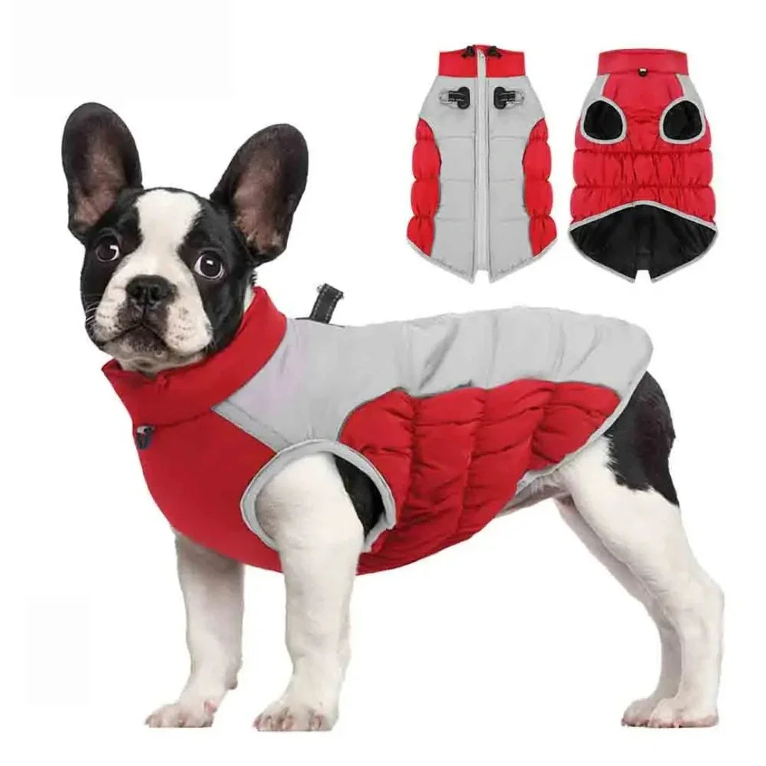 Winterjas Voor Honden Waterdicht Reflecterend Warm Met Ingebouwd Harnas Verstelbaar - Ruffy