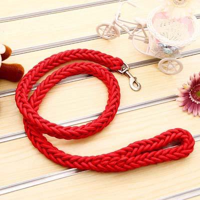 Sterke Gevlochten Nylon Hondenriem | Zware Gesp | Duurzame & Comfortabele Grip - Ruffy