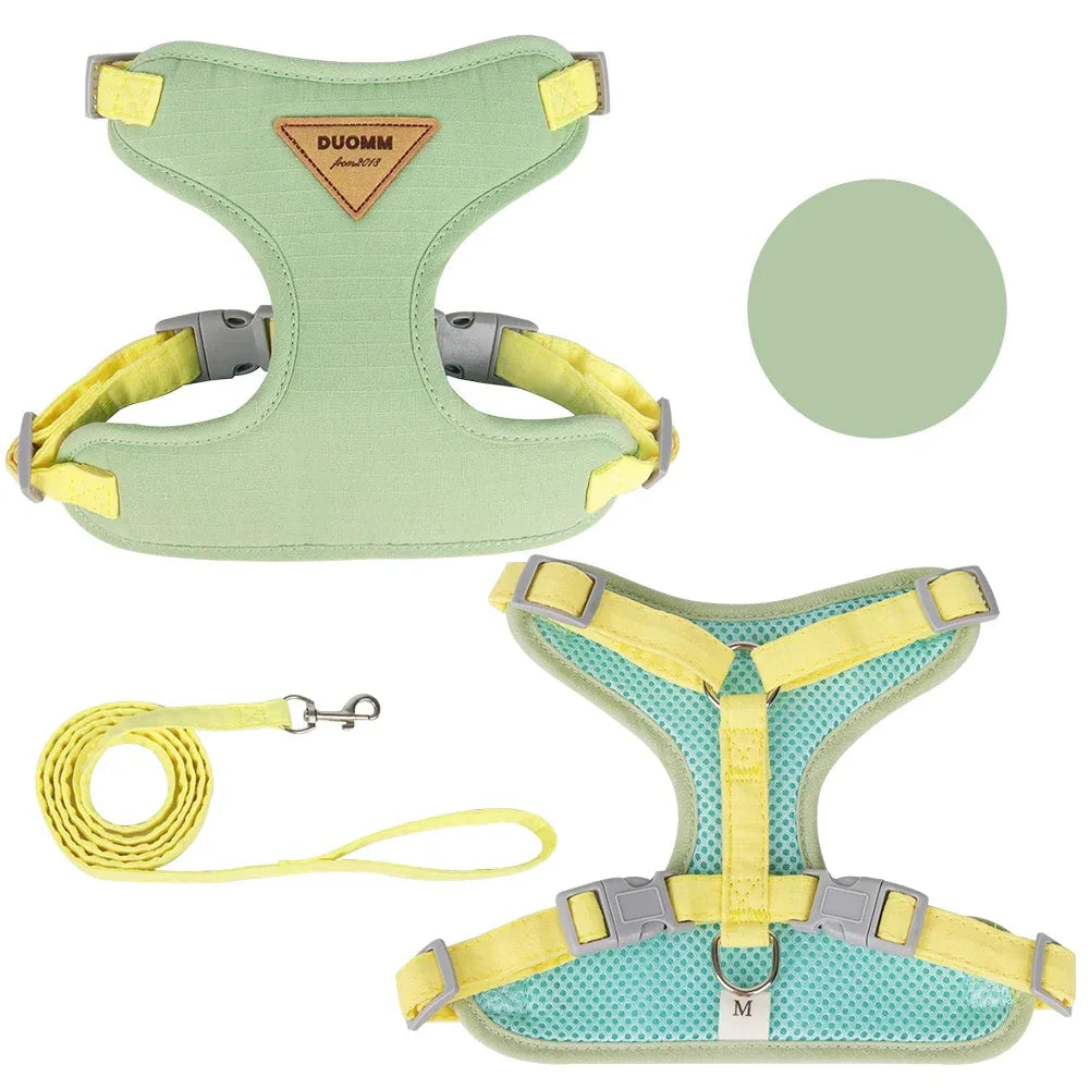 Kleine Honden Tuig Pastel Kleuren - Ruffy