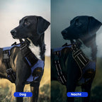 Niet-trekkend Reflecterend Hondenharnas - Ruffy