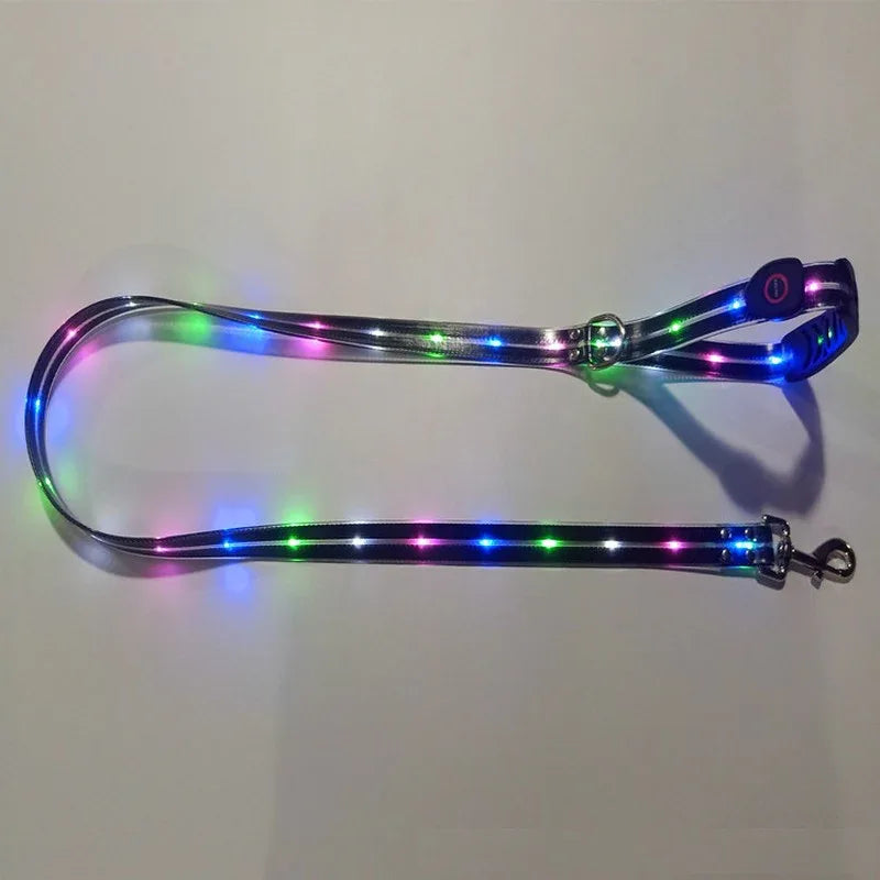 LED-Up Leash Verlichte Hondenriem USB Oplaadbaar Veilig Zichtbaar Duurzaam PVC Ergonomisch Handvat - Ruffy