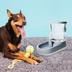 Automatische Voederset voor Honden 5L Met Zwaartekracht Waterdispenser en Voederbak - Ruffy