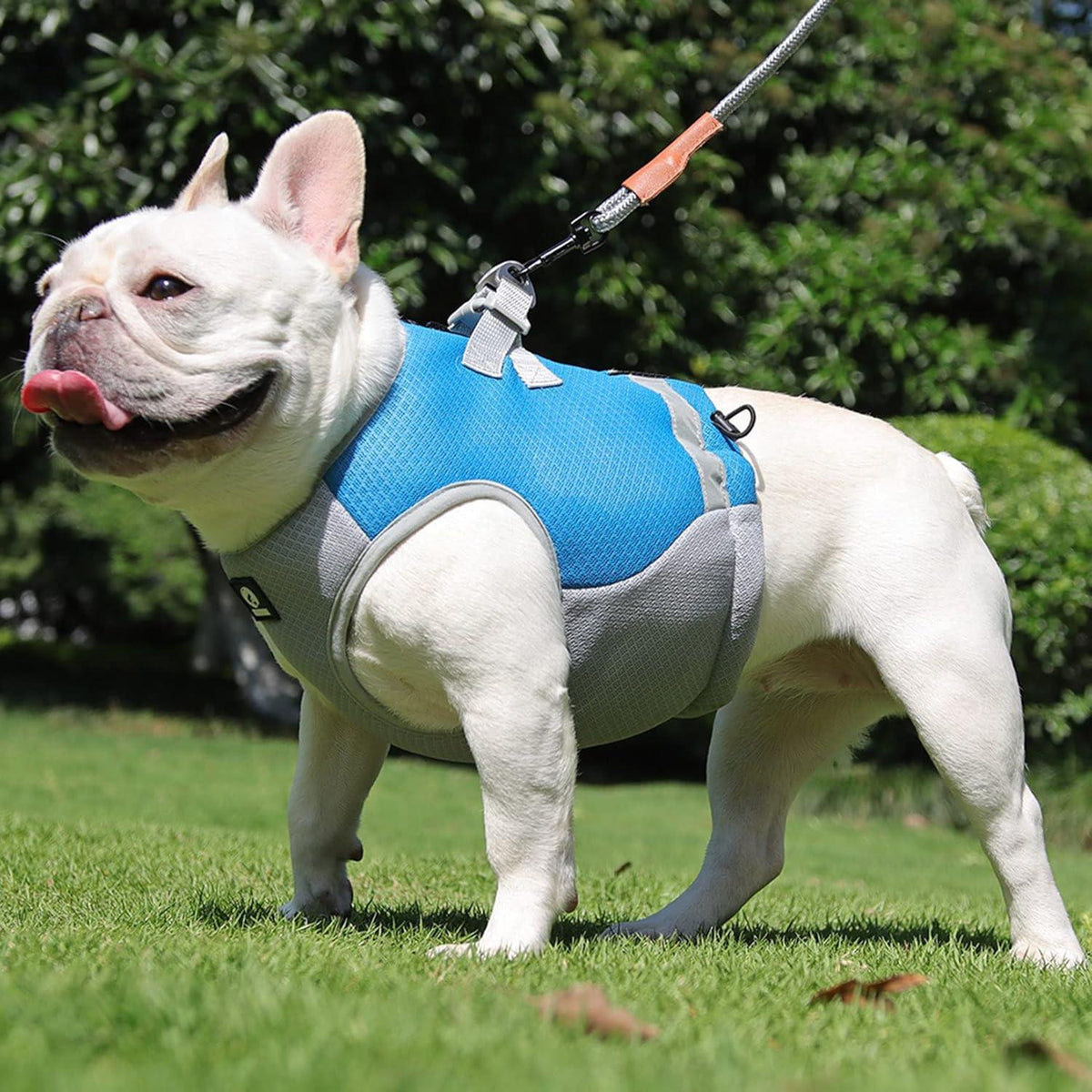 Hond Verkoelende Zomerjas - Ruffy