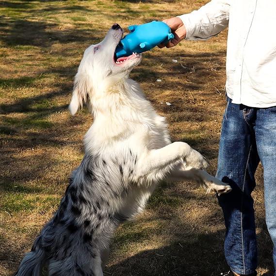 Squeaky Leuk Varken Hondenspeelgoed - Ruffy