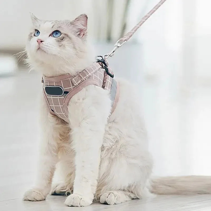 Reflecterend verstelbaar huisdierharnas met zachte vulling – veiligheid en comfort voor honden en katten - Ruffy