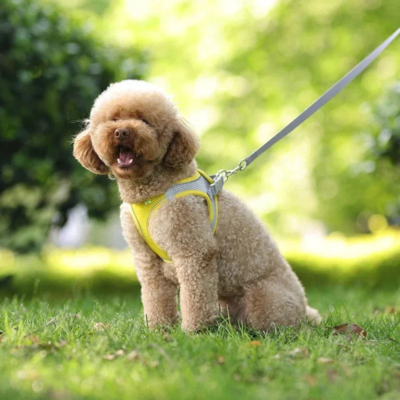 Reflecterend Harnas voor Kleine Honden Verstelbaar Ademend en Zacht Nylon Ontwerp - Ruffy