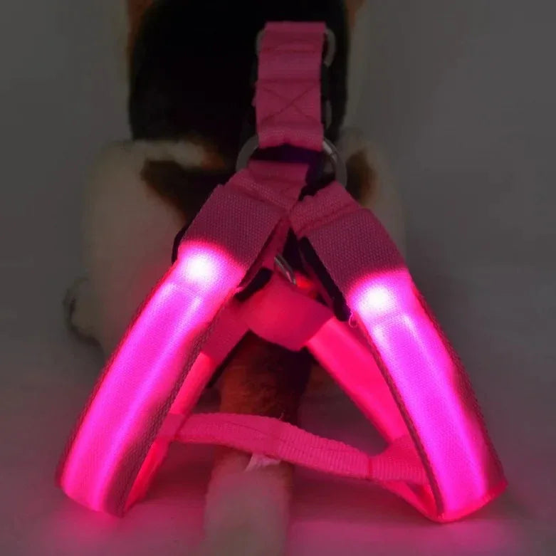 Hondentuig Lichtgevend USB Oplaadbaar - Ruffy