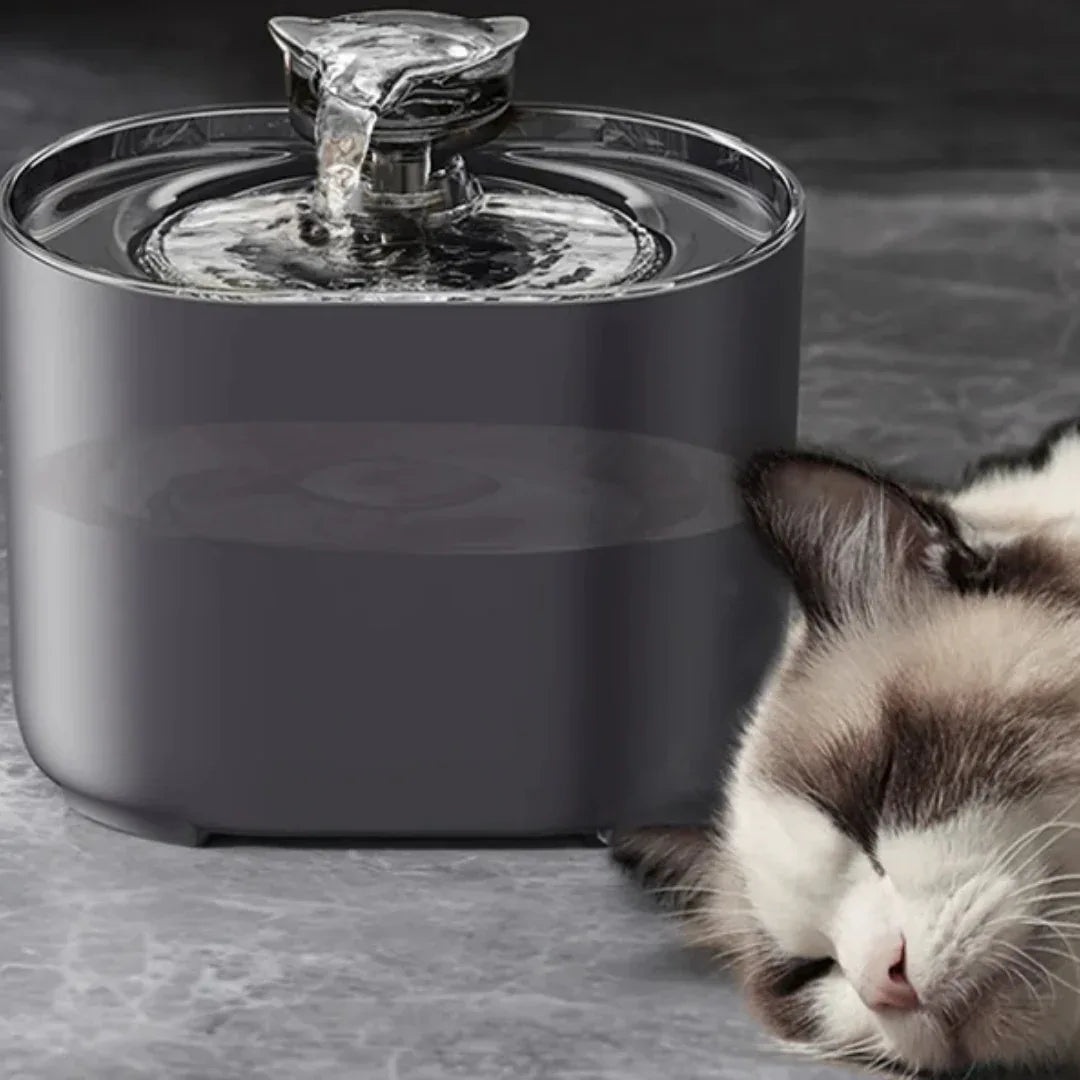 USB Elektrische Kattenwaterfontein Met Autofilter Geluidloos Recirculerend Water Verbeterde Hydratatie Hygiëne - Ruffy