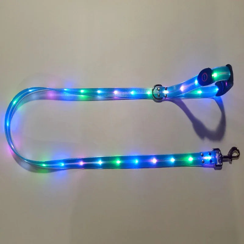 LED-Up Leash Verlichte Hondenriem USB Oplaadbaar Veilig Zichtbaar Duurzaam PVC Ergonomisch Handvat - Ruffy