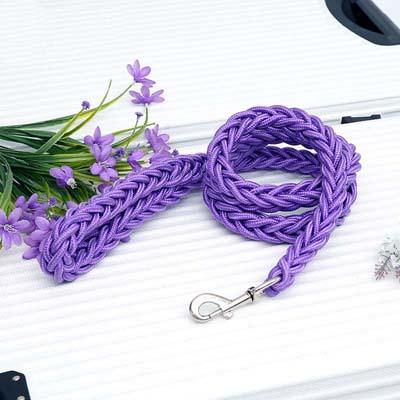Sterke Gevlochten Nylon Hondenriem | Zware Gesp | Duurzame & Comfortabele Grip - Ruffy