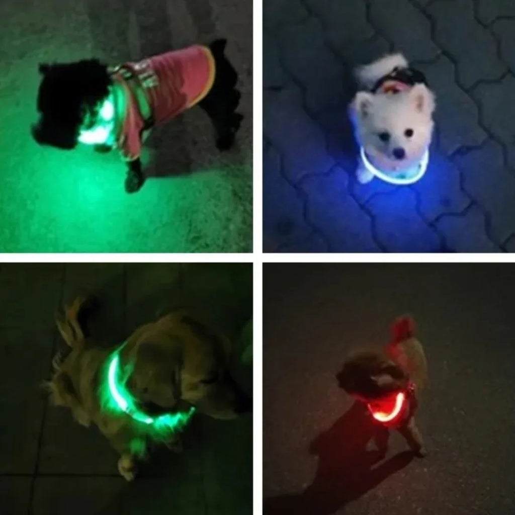 USB Oplaadbare LED Veiligheidshalsband Voor Huisdieren Verhoogde Zichtbaarheid Comfortabel Waterbestendig Lange Batterijduur - Ruffy