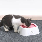 Niet-morsen Huisdier Drinken Waterdispenser - Ruffy