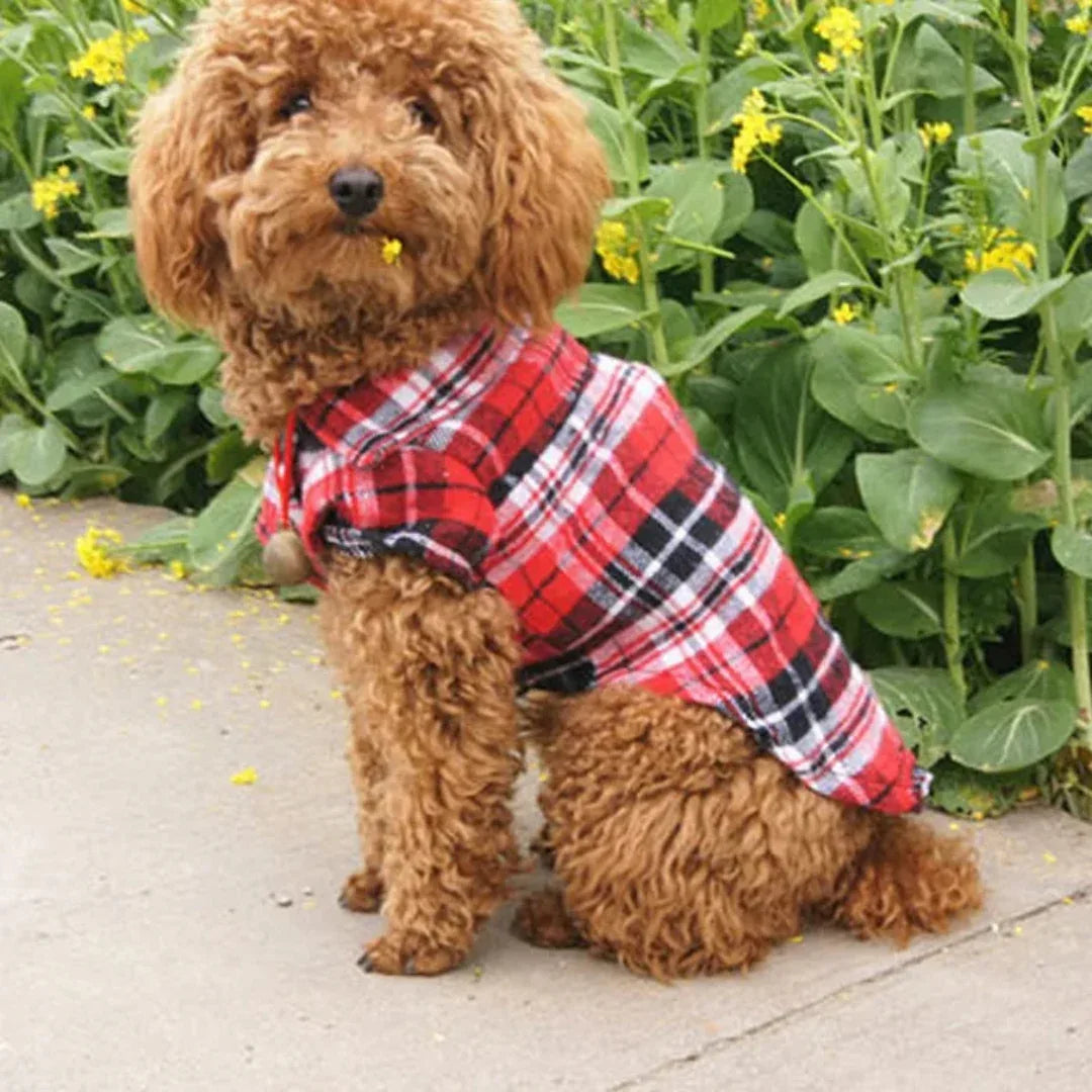 Geruite Huisdierkleding Comfortabel Lichtgewicht Ademend Stijlvol Eenvoudig Te Dragen Voor Lente en Herfst - Ruffy