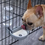Automatische waterdispenser voor huisdieren - Ruffy