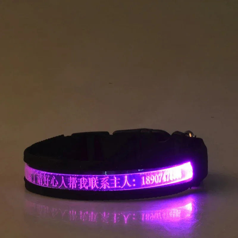 Gepersonaliseerde LED-halsband Voor Honden - Ruffy