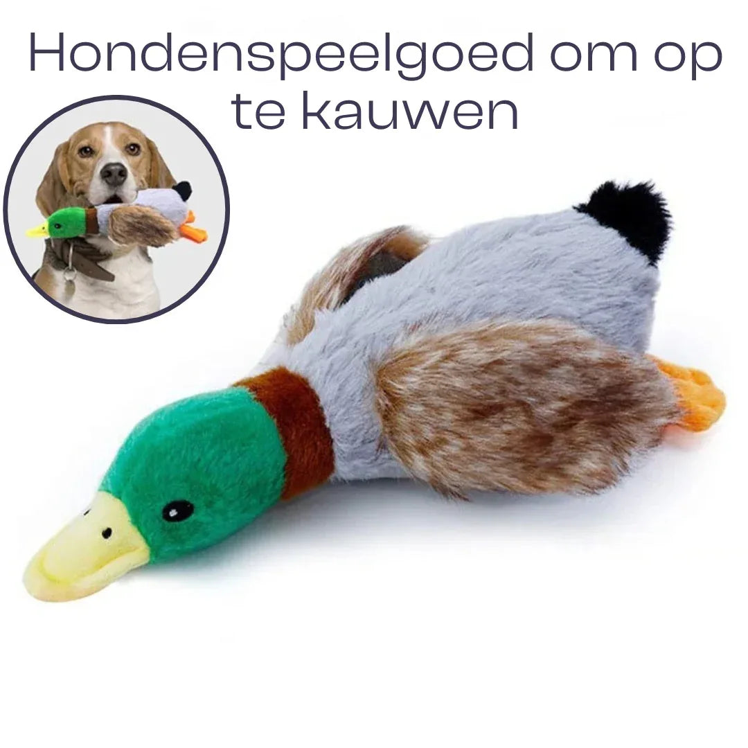 Pluche Eendje Kauw Speelgoed Piepende Geluiden Gebitsverzorging Duurzaam Veilig Voor Honden - Ruffy