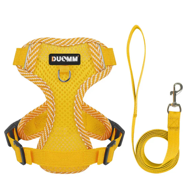 Hondentuig en Riem Set | Ademend Mesh | Reflecterend Ontwerp voor Kleine Honden - Ruffy