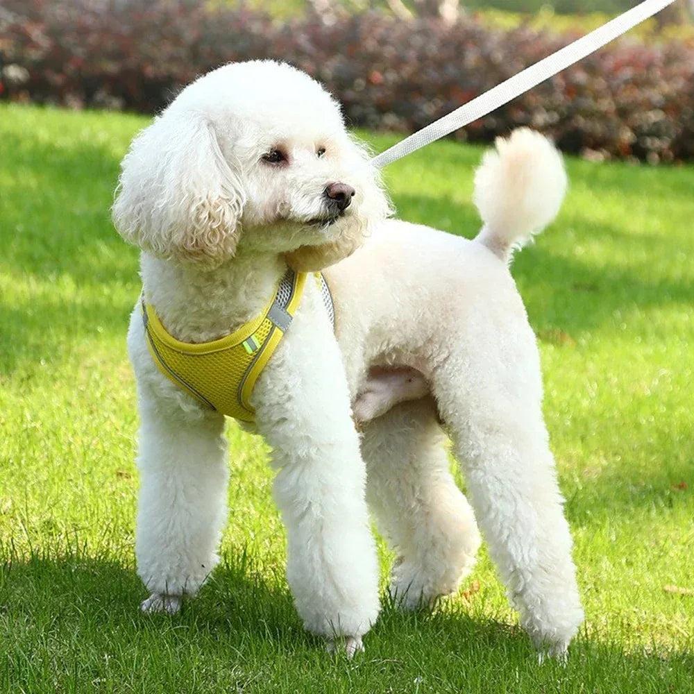 Hondentuig Mesh Ademend Reflecterend - Ruffy