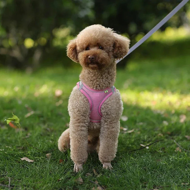 Reflecterend Harnas voor Kleine Honden Verstelbaar Ademend en Zacht Nylon Ontwerp - Ruffy
