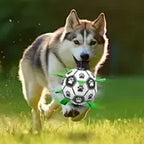 Interactief Voetbal sterk Hondenspeelgoed voor intelligentie - Ruffy