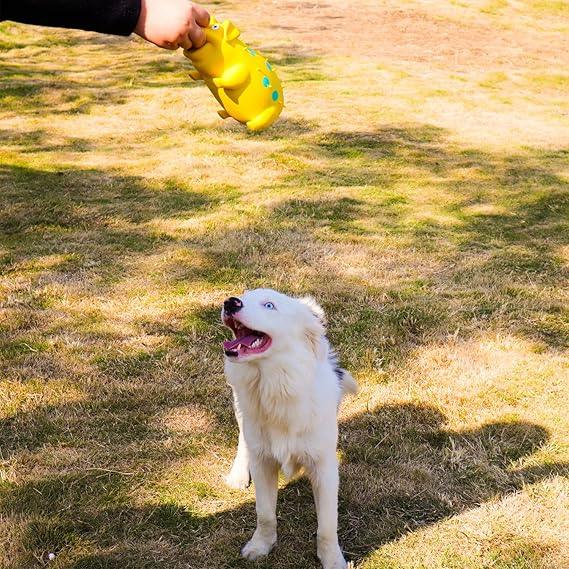 Squeaky Leuk Varken Hondenspeelgoed - Ruffy