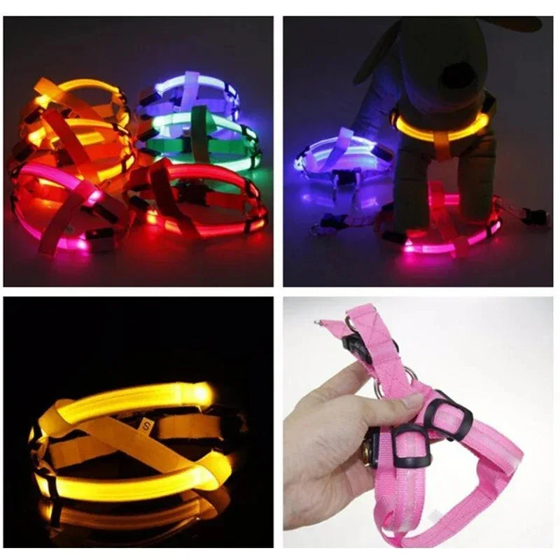 Hondentuig Lichtgevend USB Oplaadbaar - Ruffy