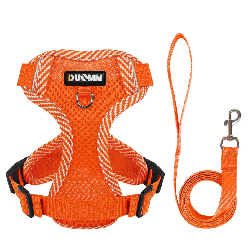 Hondentuig en Riem Set | Ademend Mesh | Reflecterend Ontwerp voor Kleine Honden - Ruffy