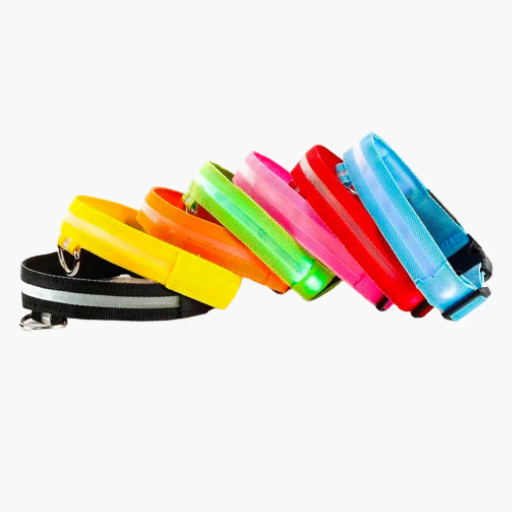 Lichtgevende LED Halsband - Ruffy