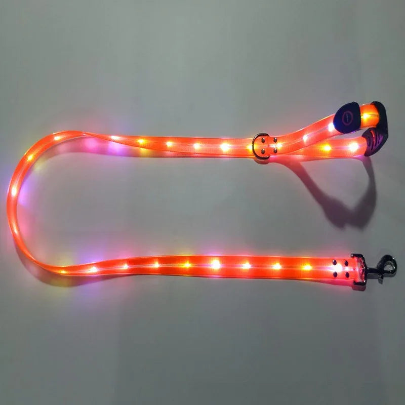 LED-Up Leash Verlichte Hondenriem USB Oplaadbaar Veilig Zichtbaar Duurzaam PVC Ergonomisch Handvat - Ruffy