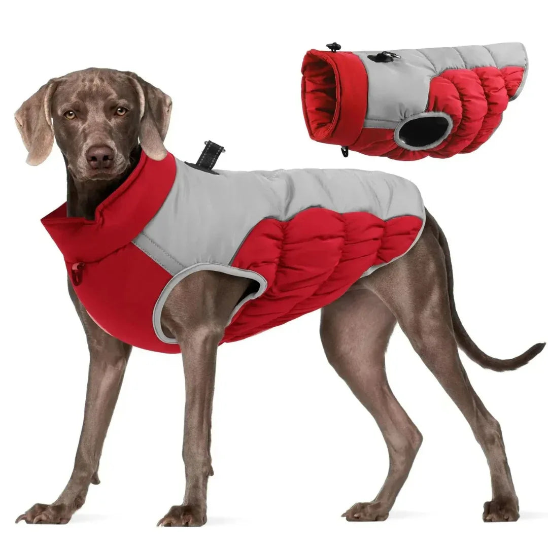 Winterjas Voor Honden Waterdicht Reflecterend Warm Met Ingebouwd Harnas Verstelbaar - Ruffy