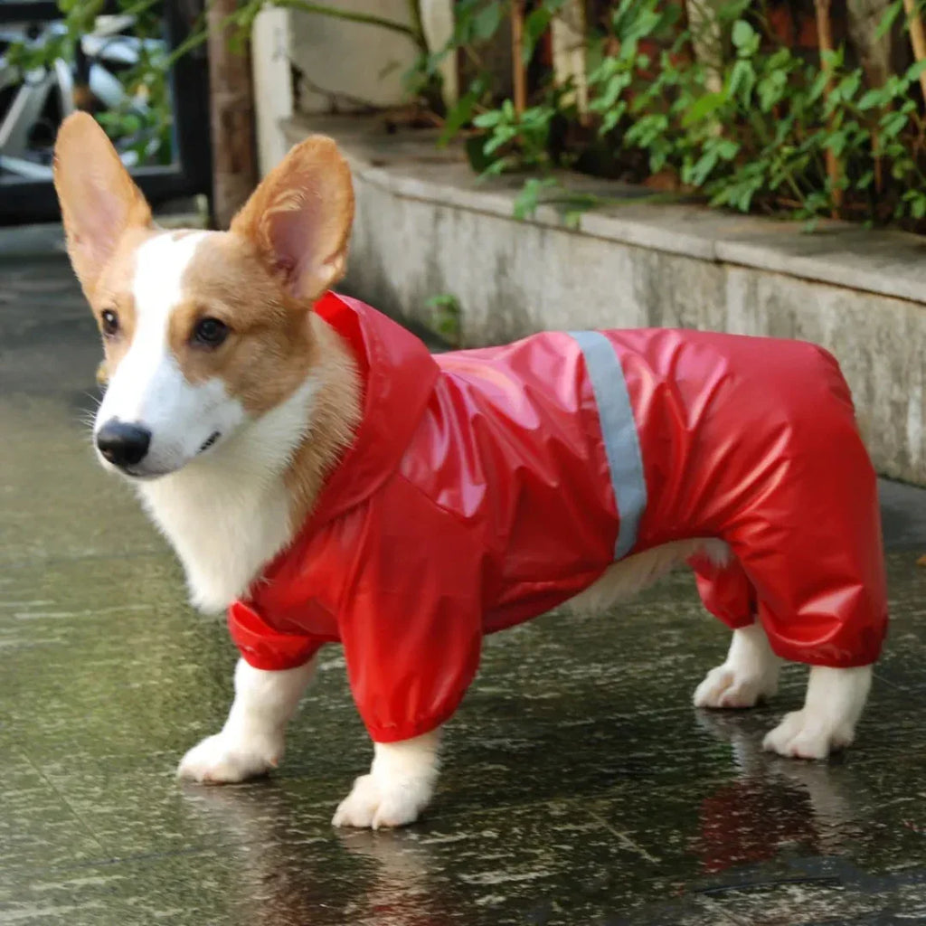 Reflecterende Regenjas voor Kleine Honden - Ruffy