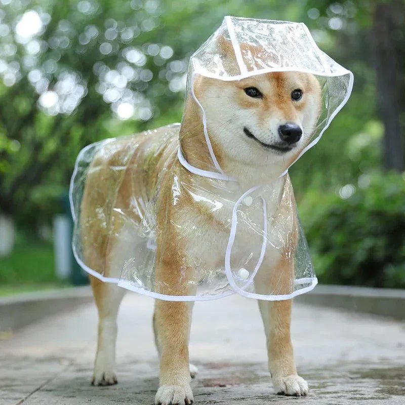 Regenjas Hond Transparant - Ruffy