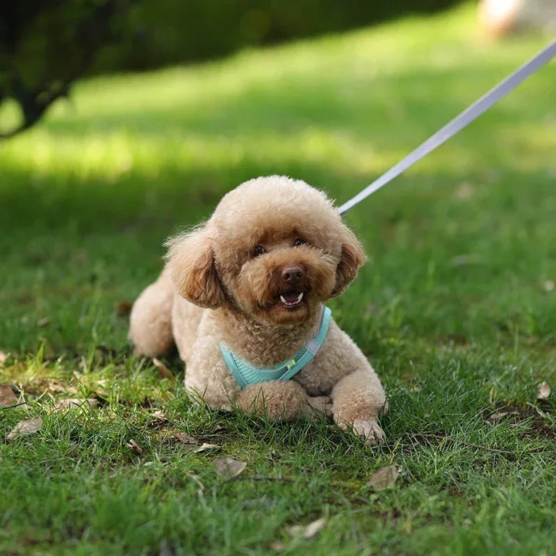 Reflecterend Harnas voor Kleine Honden Verstelbaar Ademend en Zacht Nylon Ontwerp - Ruffy