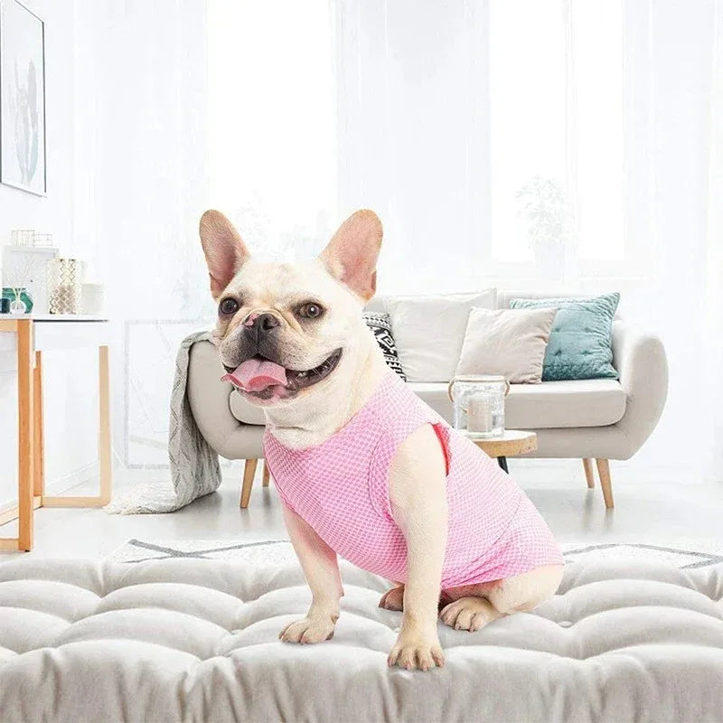 Verkoelend Honden T-Shirt Ademend en Lichtgewicht Voor Comfort en Temperatuurregulatie - Ruffy